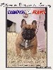  - Mallown Champion de France!!!