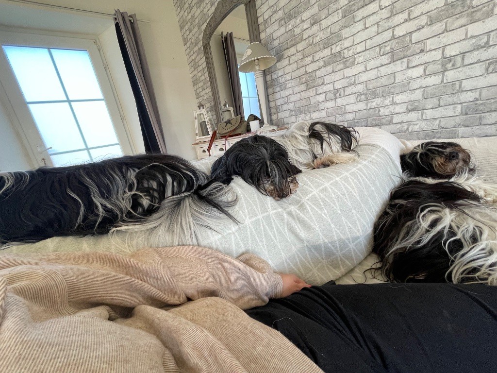 La couvade en famille 