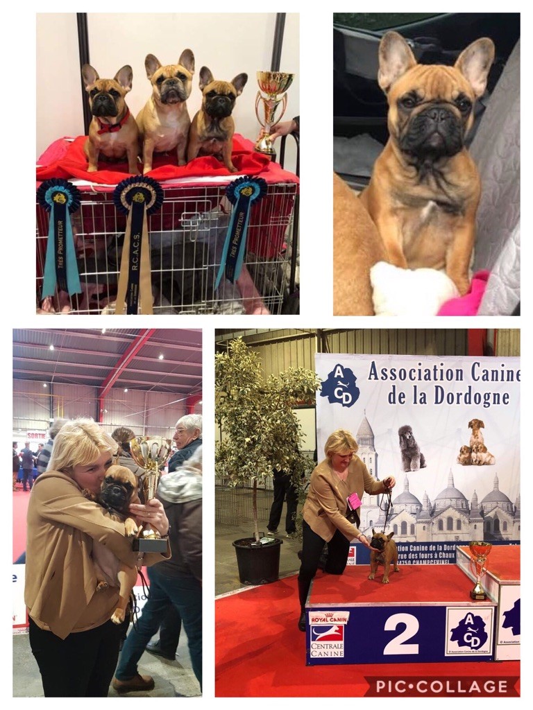 Des Oursons Malicieux - Merveilleux résultats d exposition !!!!
